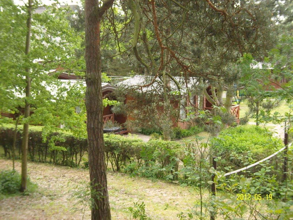 Villa Osrodek Wypoczynkowy Amber Kąty Rybackie Exterior foto